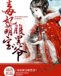毒妃萌宝腹黑爷