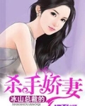 冰山总裁的杀手娇妻