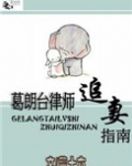 葛朗台律师追妻[娱乐圈]
