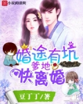 婚途有坑：爹地，快离婚