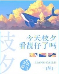 今天枝夕看靓仔了吗