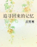 追寻回来的记忆