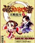 天赐福女之呆萌玲珑妻