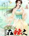 林小雅在辣文