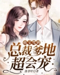 萌宝驾到：总裁爹地超会宠