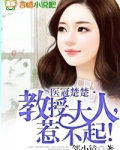 医冠楚楚·教授大人,惹不起!