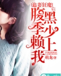 腹黑追妻小说