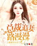 蜜爱百分百：总裁追妻路漫漫