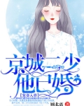 宠妻入骨：京城二少他已婚
