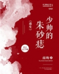 少帅的朱砂痣[重生]