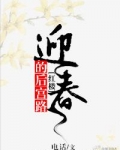 迎春的后宫路