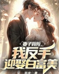 妻子背叛，我反手迎娶白富美
