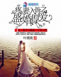 爱妻入骨之盛婚厚爱