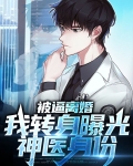 被逼离婚，我转身曝光神医身份