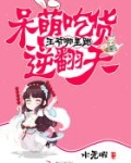 王爷哪里跑：呆萌吃货逆翻天