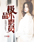 极品小职员