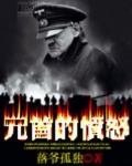 元首的愤怒