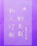 私人订制的总裁