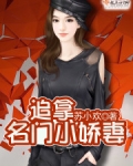 追拿名门小娇妻