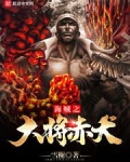 海贼之大将赤犬