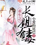 重生之长姐有毒