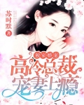 独家婚宠：高冷总裁宠妻上瘾