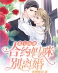 萌宝快递：合约妈咪别离婚