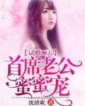 试婚30天：首席老公蜜蜜宠