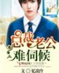 总裁老公难伺候