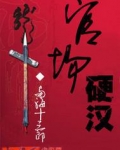 官场硬汉