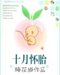 十月怀胎