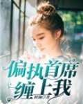 偏执首席缠上我