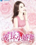 霸爱之宠坏小娇妻