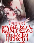萌妻有喜,隐婚老公请接招