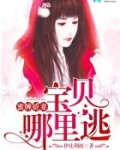 蜜缠娇妻：宝贝，哪里逃