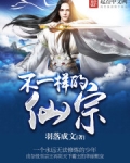 不一样的仙宗