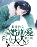 隐婚溺爱：Boss大人，轻点撩