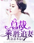念念不忘，总裁乘胜追妻