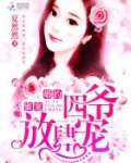 蜜宠婚约：四爷放肆宠