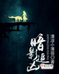 暗影追凶