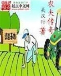 农夫传奇
