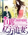 倾世暖婚：首席亿万追妻