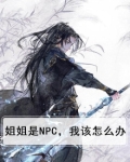 姐姐是NPC，我该怎么办