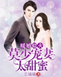 暖婚似火：莫少宠妻太甜蜜