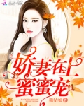 娇妻在上，蜜蜜宠！