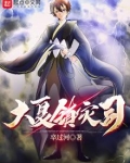大夏镇灾司