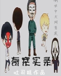 奇案实录