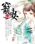 重生之宠妻