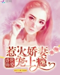 盛世锦爱，惹火娇妻宠上瘾