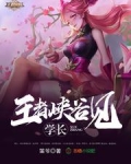 学长，王者峡谷见